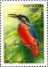 Colnect-2688-195-Common-Kingfisher-Alcedo-atthis.jpg