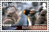 Colnect-4571-650-King-Penguin-Aptenodytes-patagonicus.jpg
