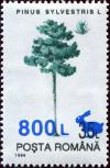 Colnect-4717-324-Scots-Pine-Pinus-sylvestris---surcharged.jpg