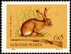 Colnect-877-145-Mountain-Hare-Lepus-timidus.jpg