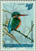 Colnect-134-883-Common-Kingfisher-Alcedo-atthis.jpg