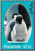 Colnect-1631-446-King-Penguin-Aptenodytes-patagonicus.jpg