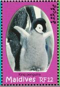Colnect-1631-447-King-Penguin-Aptenodytes-patagonicus.jpg