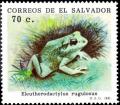 Colnect-3202-846-Central-American-Rain-Frog-Eleutherodactylus-rugulosus.jpg
