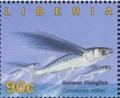 Colnect-4242-469-Guinean--Flyingfish-Cheilopogon-milleri.jpg