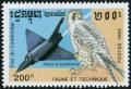 Colnect-4445-080-South-American-Peregrine-Falcon-Falco-peregrinus-cassini-.jpg