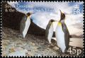 Colnect-4571-624-King-Penguin-Aptenodytes-patagonicus.jpg