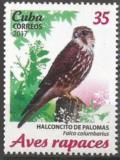 Colnect-4597-747-Merlin-Falco-columbarius.jpg