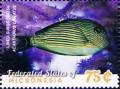 Colnect-5812-660-Lined-surgeonfish.jpg
