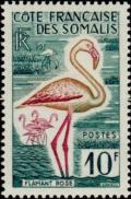 Colnect-805-858-Greater-Flamingo-Phoenicopterus-roseus.jpg