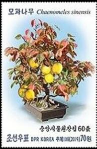 Colnect-5840-431-Chinese-Quince-Chaenomeles-sinensis.jpg