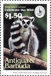 Colnect-4112-692-Ring-tailed-lemur.jpg