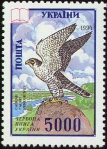 Falco_peregrinus_Stamps.jpg
