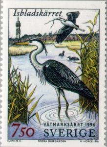 Colnect-164-889-Grey-Heron-Ardea-cinerea-Isbladsk-auml-rret-Wetland.jpg