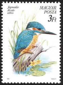 Colnect-3546-517-Common-Kingfisher-Alcedo-atthis.jpg