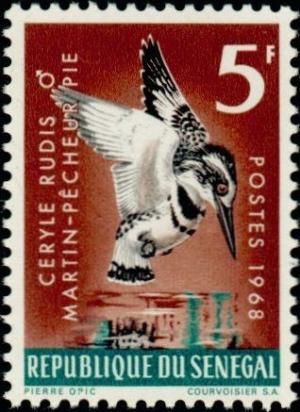 Colnect-1078-583-Pied-Kingfisher-Ceryle-rudis.jpg