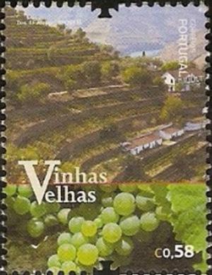 Colnect-3450-122-Old-vineyards-of-Portugal.jpg