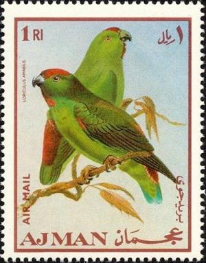 Colnect-3594-381-Moluccan-Hanging-Parrot-Loriculus-amabilis.jpg