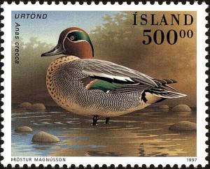 Colnect-3949-873-Green-winged-Teal-Anas-crecca.jpg