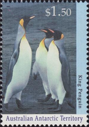Colnect-4714-587-King-Penguin-Aptenodytes-patagonicus.jpg