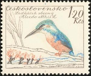 Colnect-4732-224-Common-Kingfisher-Alcedo-atthis.jpg
