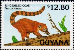 Colnect-4910-606-Ring-tailed-Coati.jpg
