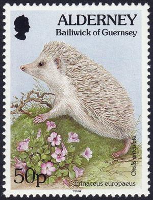 Colnect-5181-005-European-Hedgehog-Erinaceus-europaeus-Pink-sorrel-Oxalis.jpg