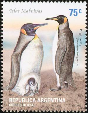 Colnect-5250-654-King-Penguin-Aptenodytes-patagonica.jpg