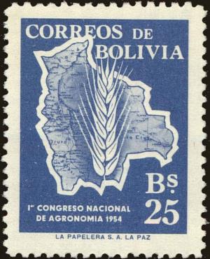 Colnect-5491-724-Grain-inside-Map-of-Bolivia.jpg