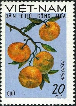 Colnect-5876-698-Tangerines-Citrus-reticulata.jpg