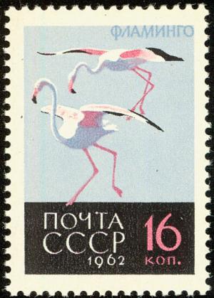 Colnect-729-134-Greater-Flamingo-Phoenicopterus-roseus.jpg