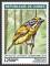 Colnect-5970-289-Yellow-fronted-Tinkerbird-Pogoniulus-chrysoconus.jpg