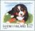 Colnect-160-469-Bernese-Mountain-Dog-Canis-lupus-familiaris.jpg