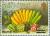 Colnect-2914-360-Philippine-fruits-Overprinted.jpg
