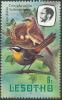 Colnect-1436-332-Cape-Robin-Chat-Cossypha-caffra.jpg
