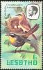 Colnect-745-209-Cape-Robin-Chat-Cossypha-caffra.jpg