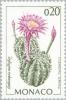 Colnect-149-660-Echinopsis-multiplex.jpg