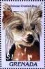 Colnect-4581-349-Chinese-crested-dog.jpg