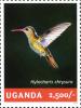 Colnect-4804-815-Gilded-Hummingbird-Hylocharis-chrysura.jpg