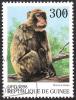 Colnect-1079-272-Crab-eating-Macaque-Macaca-irus.jpg