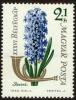 Colnect-4672-632-Common-Hyacinth-Hyacinthus-orientalis.jpg