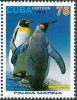 Colnect-3661-818-King-Penguin-Aptenodytes-patagonicus.jpg