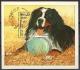 Colnect-1189-788-Bernese-Mountain-Dog-Canis-lupus-familiaris.jpg