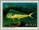 Colnect-130-716-Common-Dolphinfish-Coryphaena-hippurus.jpg