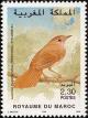 Colnect-1347-838-Common-Nightingale-Luscinia-megarhynchos.jpg