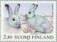 Colnect-160-399-Mountain-Hare-Lepus-timidus.jpg
