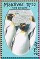 Colnect-1631-443-King-Penguin-Aptenodytes-patagonicus.jpg
