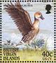 Colnect-3085-025-West-Indian-Whistling-Duck-nbsp-Dendrocygna-arborea.jpg