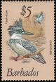 Colnect-578-229-Belted-Kingfisher-Ceryle-alcyon.jpg