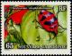 Colnect-855-421-Hibiscus-Harlequin-Bug-Tectocoris-diophthalmus.jpg